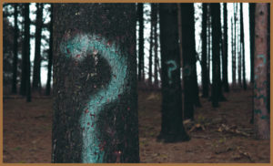 Graffiti question marks on trees