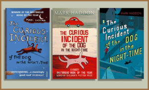 A selection of The Curious Incident of the Dog in the Night-Time covers