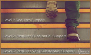 Steps with the different levels of autism support written on top