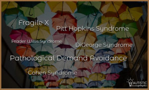 Umbrellas with all the conditions related to autism on top of them