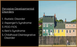 Houses with all the different pervasive developmental disorders written on them