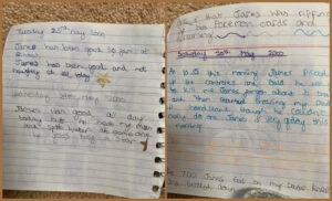 Lizzie's diary entries